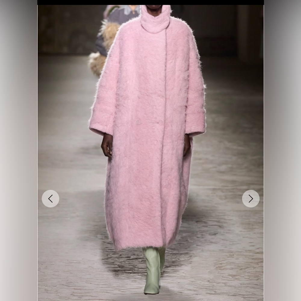 Dries Van Noten Oversized Brushed Wool-Blend Coat — Runway Edition Size M $3715 - Picture 4 of 11